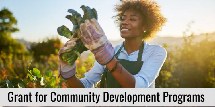 Grant Awards for African American Individuals for Community Development