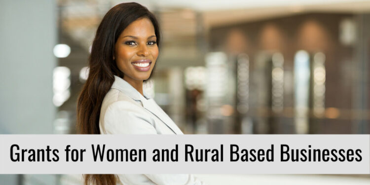 Grant Program for Minority, Women-and-Rural-owned Small Businesses