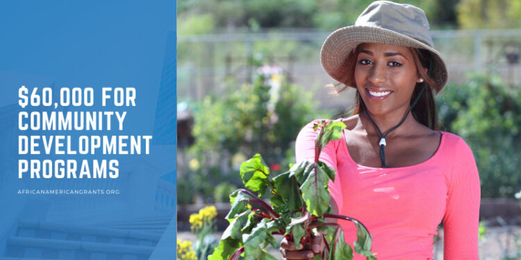$60,000 Grants to Individual and Entrepreneurs to Create, Develop, and Expand Business Ideas in Communities