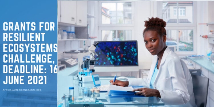 Grants for Resilient Ecosystems Challenge, Deadline: 16 June 2023