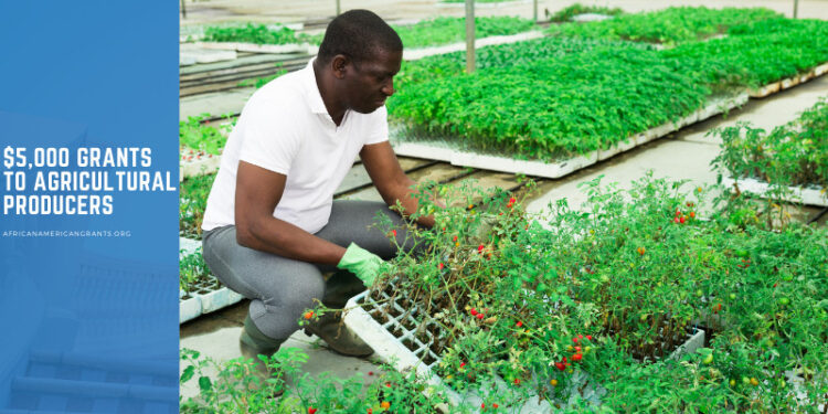 $5,000 Grants to Agricultural Producers
