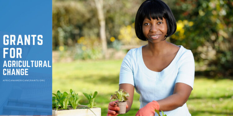 $50,000 Grants for Individuals in Agriculture