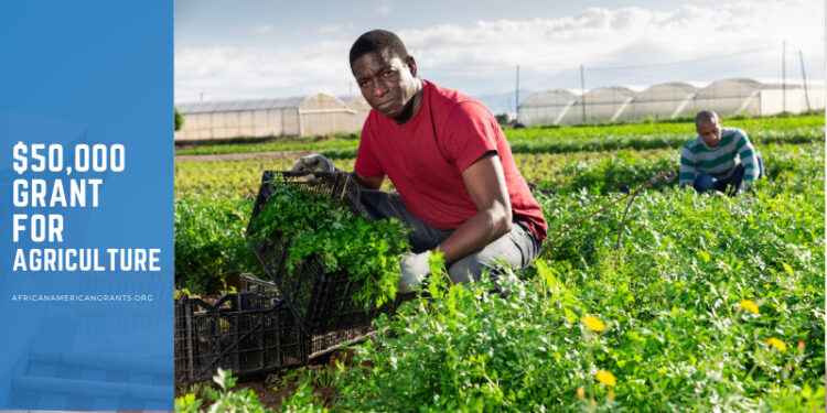 $50,000 Conservation Innovation Grants for Farmers and Conservationists