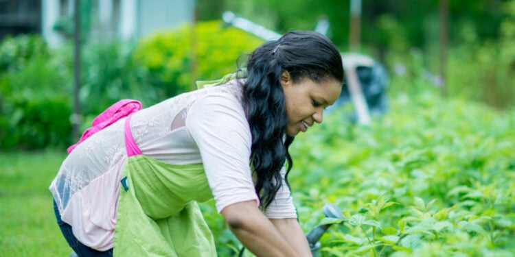 3 Easy-to-Access Minority Grants for Black Farmers