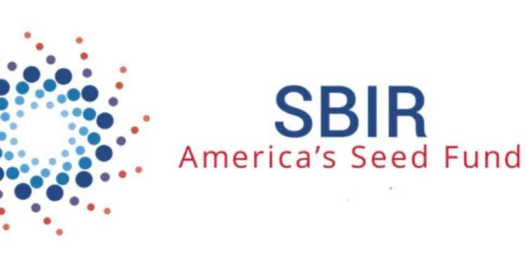 Black and Minority Business Grants and Funding Opportunities