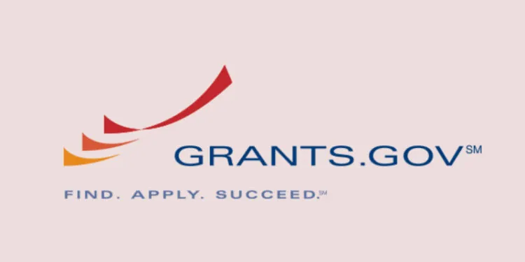 Black and Minority Business Grants and Funding Opportunities