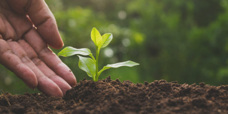 $75,000 Noxious Weed Trust Fund (NWTF) Grant for Farmers