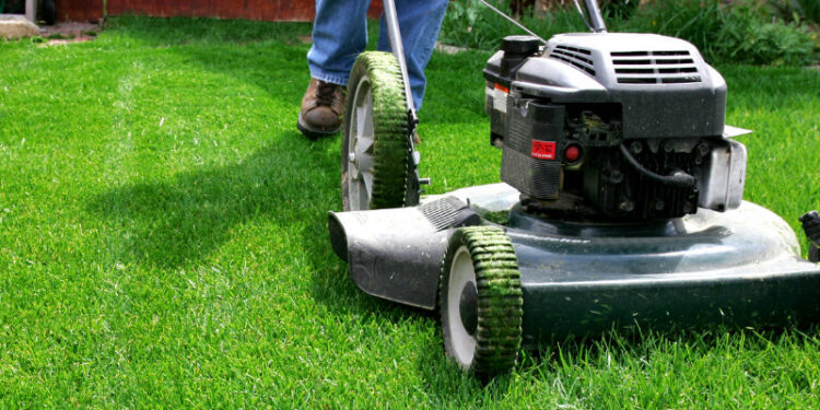 How to Start and Get Grants for Lawn and Landscaping Business