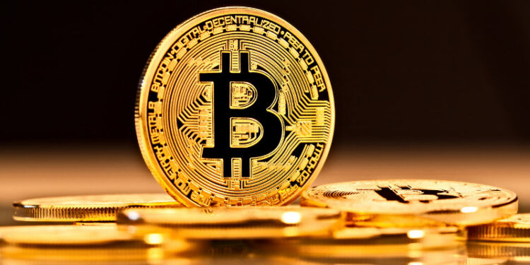 Moon Bitcoin Live Awesome Investment