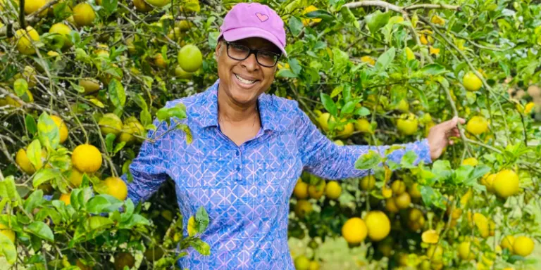 Starting and Accessing Grants for Farming