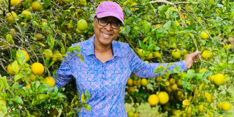 Starting and Accessing Grants for Farming