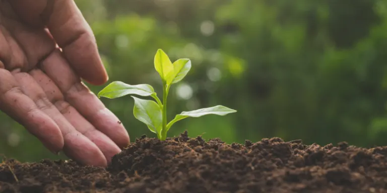 $75,000 Specialty Crop Grant Program