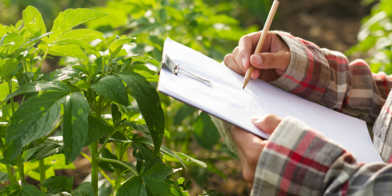 $75,000 Grants for Sustainable Agriculture